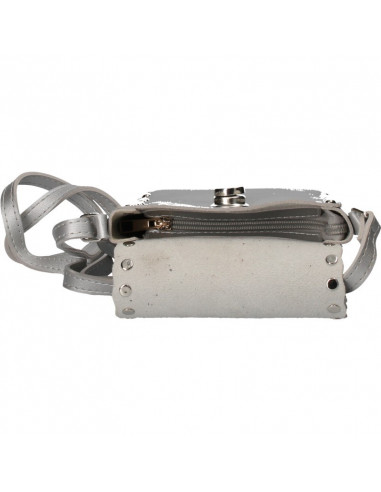 Poseta mica argintie, tip postas