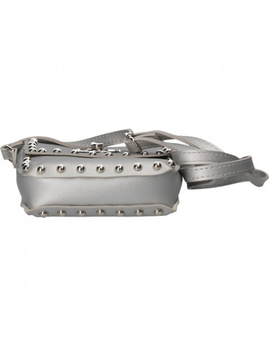 Poseta mica argintie, tip postas