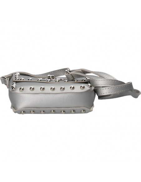 Poseta mica argintie, tip postas