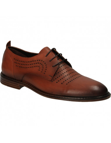 Pantofi barbatesti, stil elegant, din piele